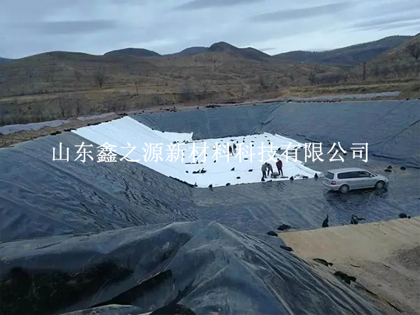 養殖防滲膜可提升魚蝦養殖質量廣受關注 養殖防滲膜可提升魚蝦養殖質量廣受關注