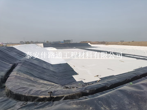 蝦池利用防滲膜進行建設有哪些養殖經驗? 蝦池利用防滲膜進行建設有哪些養殖經驗?
