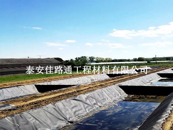 水產養殖防滲膜鋪裝技術要求:構建高效防水屏障 水產養殖防滲膜鋪裝技術要求:構建高效防水屏障