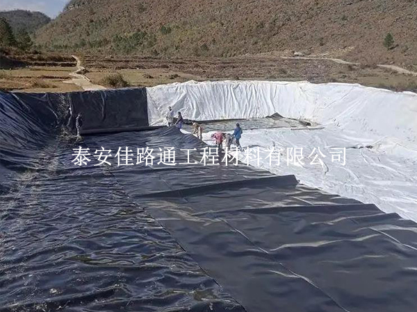 水產養殖防滲膜斜坡鋪設技巧:打造穩固高效的養殖環境 水產養殖防滲膜斜坡鋪設技巧:打造穩固高效的養殖環境
