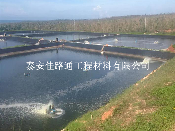 水產養殖防滲膜鋪設使用壽命下降的“幕后推手” 水產養殖防滲膜鋪設使用壽命下降的“幕后推手”