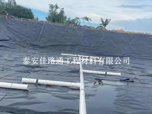 防滲膜的“隱形盾牌”作用:從滲透性看水產養殖的穩產秘訣 防滲膜的“隱形盾牌”作用:從滲透性看水產養殖的穩產秘訣