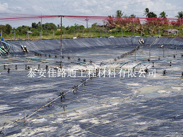 水產養殖防滲膜在藕池壩體防滲施工中的關鍵操作技巧 水產養殖防滲膜在藕池壩體防滲施工中的關鍵操作技巧